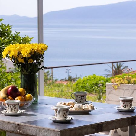 Apartments Nikolic Gradac  Zewnętrze zdjęcie